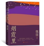 <b>怎么当无极4代理长篇小说《烟霞里》以个人经历</b>