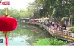 <b>海南万宁兴隆新春侨无极4总代理“味”浓 “异国</b>