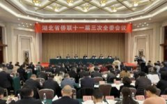 <b>湖北：无极4总代理凝聚侨心侨力 聚势赋能促发展</b>