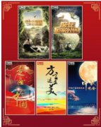 <b>无极4平台开户中央广播电视总台2023年华语环球节</b>