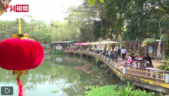 <b>无极荣耀注册平台海南万宁兴隆新春侨“味”浓</b>