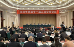 <b>无极荣耀平台一起娱乐湖北：凝聚侨心侨力 聚势</b>