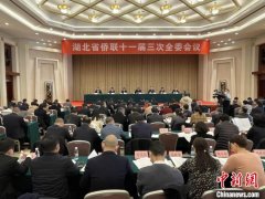 <b>湖北：无极4荣耀凝聚侨心侨力 聚势赋能促发展</b>
