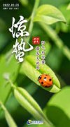 怎么当无极4代理微雨众卉新，一雷惊蛰始