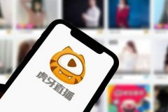 无极4平台总代理透视虎牙斗鱼最新财报，直播行